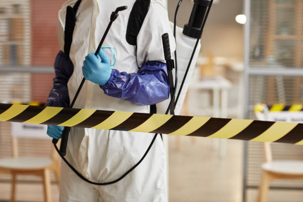Professional Sewage Cleanup technician working in Pasadena, MD